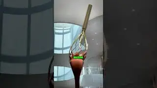 Самый жестокий музей для сладкоежек 😭