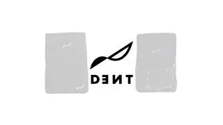 Dent Gunner Sneaker Backpack