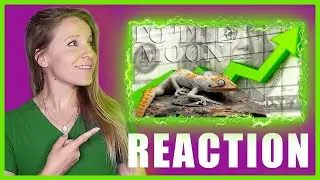Did the 2025 Reptile Market React Like We Said?