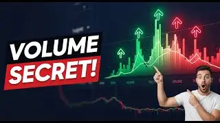 How to Use Volume Indicator in Tradingview