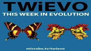 TWiEVO 36: All&rsquo;s not quiet on the telomeric front
