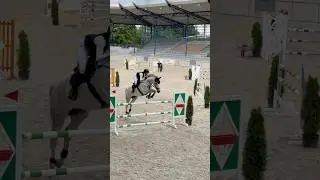 Trainingstag beim CHIO Aachen
