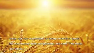 Heart For The Harvest - Gospel Song (Sheet Music Available)