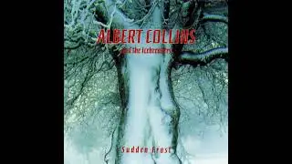 Albert Collins, ⭐Sudden Frost 1986,  05 ⭐ Woke Up this Morning ⭐  ((*1986*))