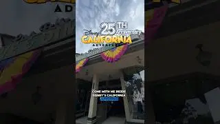 25-летие парка развлечений Disney California Adventure и новая футболка с изображением принцесс Д...