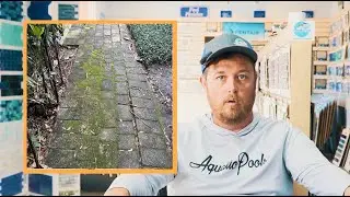 Paver Pool Decks Are A Dying Trend (Here's Why)
