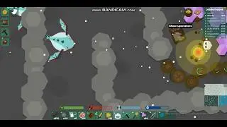 Dragon gear в голодных играх (Starve.io)