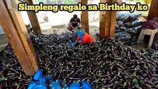 IKATLONG PITAS NG TALONG 900 KILO NA