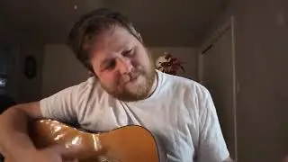 Northern Sky (Cover) - Nick Drake