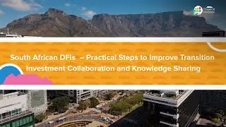South African DFIs