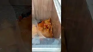 Local Moton Shop Short Video / Assamese Viral Video / New 2022 Video.