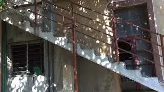 Flying lemon