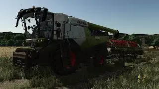 Harvesting, Loading & Unloading Work | No Commentary, ASMR Relaxing Gameplay