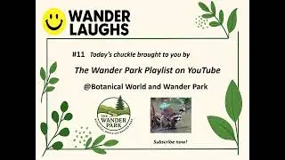 #11 Wander Laughs Proper food washing techniques