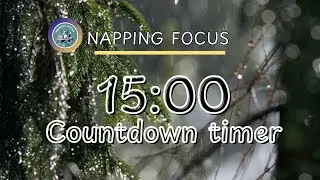 15 Minute Timer with Rain Sounds | Deep Work Sprint with Calming Nature Sounds 🌲