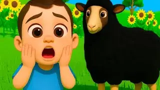 Baa Baa Black Sheep Rhyme | Colourful Kids Cartoon Song | Early Learning Fun Video | Baby kids