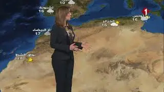 النشرة الجوية ليوم 31- 01- 2026