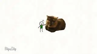Why you shouldn't pet kitty (part 4)