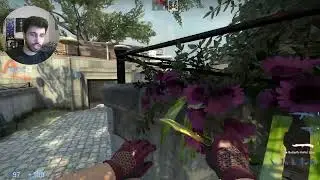 How to lurk Mid on Overpass