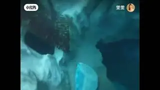 Underwater girl freediver blackout