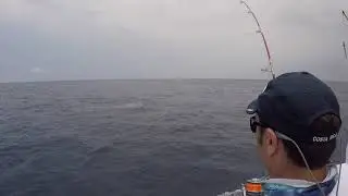 2018 Offshore World Championship | Torneio De Peixes De Bico | Pacific Sailfish