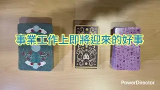 禹禛《事業工作上即將迎來的好事 》塔羅占卜/大眾占卜