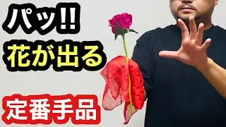 【種明かし】簡単！花が出るマジック２種類、解説！プロっぽくて、結婚式やパーティーで大ウケの手品