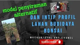 Model Penyiraman Alternatif dan Intip Profil Lahan Budidaya Bonsai##bonsai warujuara#bonsaiviral