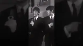 The Beatles or The Shoes?! 👞😂