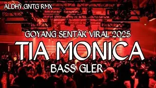 PARTY SENTAK 🌴 TIA MONICA - BASS GLER 🔥 ALDHY GNTG RMX &times; RIVAL HUNGU 💃