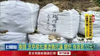溪頭敬老票調漲10元！ 樹頭被塗鴉「欺負老人」