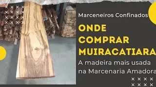 Onde comprar Muiracatiara? A madeira mais usada na Marcenaria Amadora