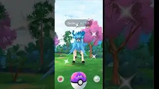 I was almost going to use the Master Ball for shiny Zacian #shorts #zacian #shiny #raid #ultragoo
