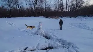Strange snow figure appears and moves on its own while tracking wolves. Ranger T [Episode 39]