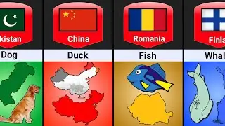 Countries Map That Look Like Animals And Objects 