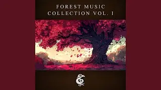 Echoes of the Forest