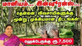 தென்னை விவசாயிகளுக்கு 3 முக்கியமான திட்டங்கள் | Subsidies and Insurance |  Pasumai vikatan