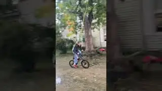 Ina sppina spinna da gorrila orginal