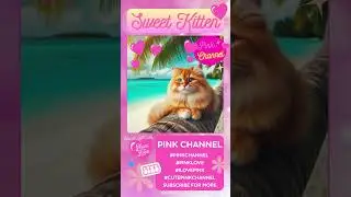 Sweet Kitten | Summer Vibes | PINK CHANNEL #pinkchannel #cat #kitten #cute #trending #shorts