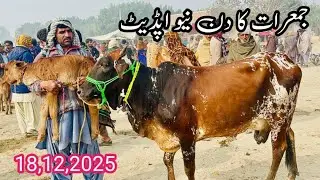 جمعرات کے دن کی گائے منڈی  18.12.2025.CowMandi 03368056786