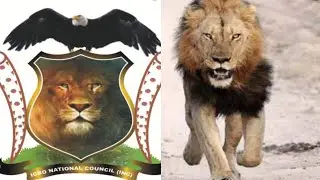 BREAKING!!!  IGBO NATIONAL COUNCIL &Oslash;P&euro;Ř&Delta;ŦI&Oslash;Ň ŁI&Oslash;Ň Ŵ&Delta;ŁҜ In &Delta;ĆŦI&Oslash;Ň