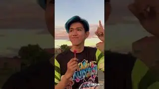 Nognog