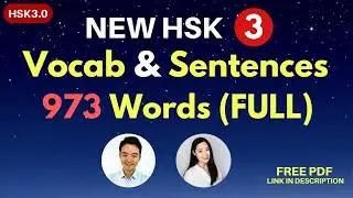 New HSK 3 Vocabulary and Sentences (FULL) HSK 3.0 Intermediate Chinese Words & Sentences
