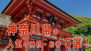 【神奈川の神社＆お寺5選】開運・縁結び・厄除け！今行くべき最強パワースポットを紹介！