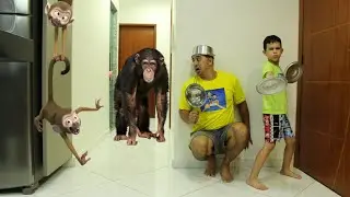 LUCAS E PAPAI REALMENTE QUEREM TER UM ANIMAL DE ESTIMAÇÃO