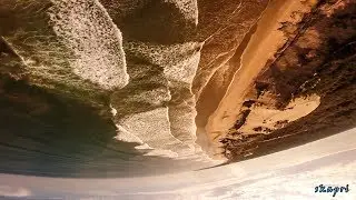 Alien RR5 - Ocean