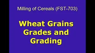 Wheat Grains Grades and Grading - Milling of Cereals (FST-703)