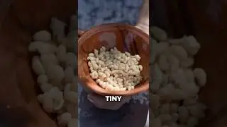 Ant Eggs: A Surprising Southeast Asian Delicacy