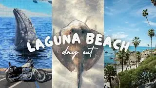 Laguna Beach - All the best things to do (& secret beach spots)!