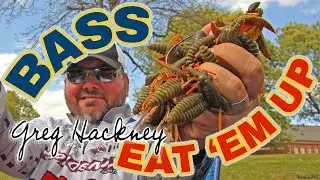 Hackney's BEST Flipping Bait: This Soft Plastic Catches More Bass